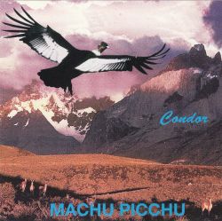 Machu Picchu "Condor"